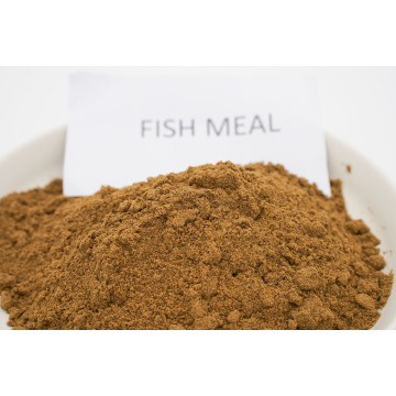 Fish Meal Hot Sale